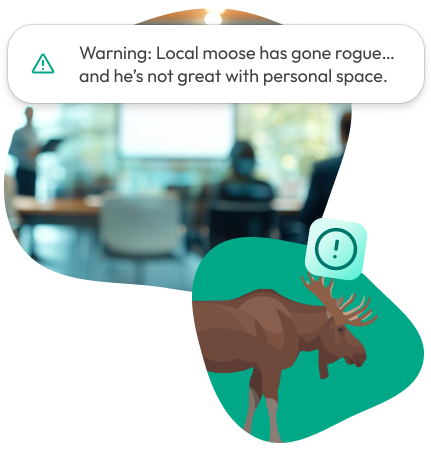 A humorous alert warning about a rogue moose, paired with a blurred meeting room scene and an illustration of a moose with an alert icon.