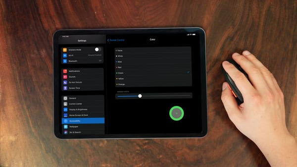 iPad menu to customize wireless mouse settings