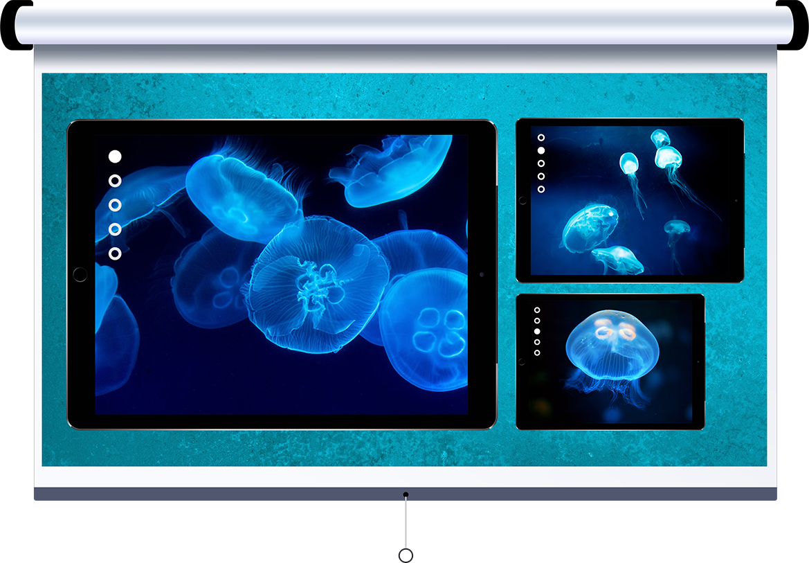 Download Reflector 3 For Mac Free Download Reflector 3 For Mac Free