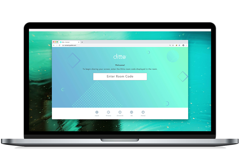 Ditto Connect webpage in the Chrome browser on a MacBook