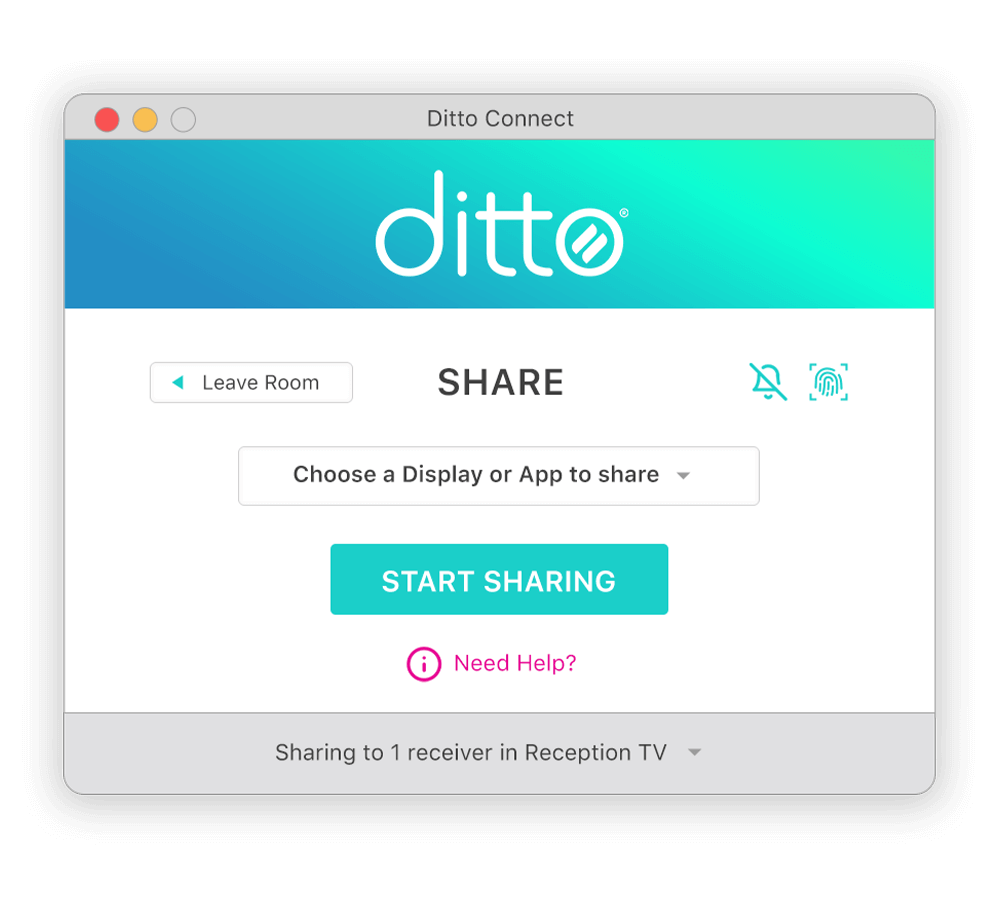 Ditto application window