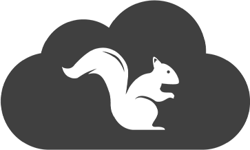 Transparent Squirrels logo