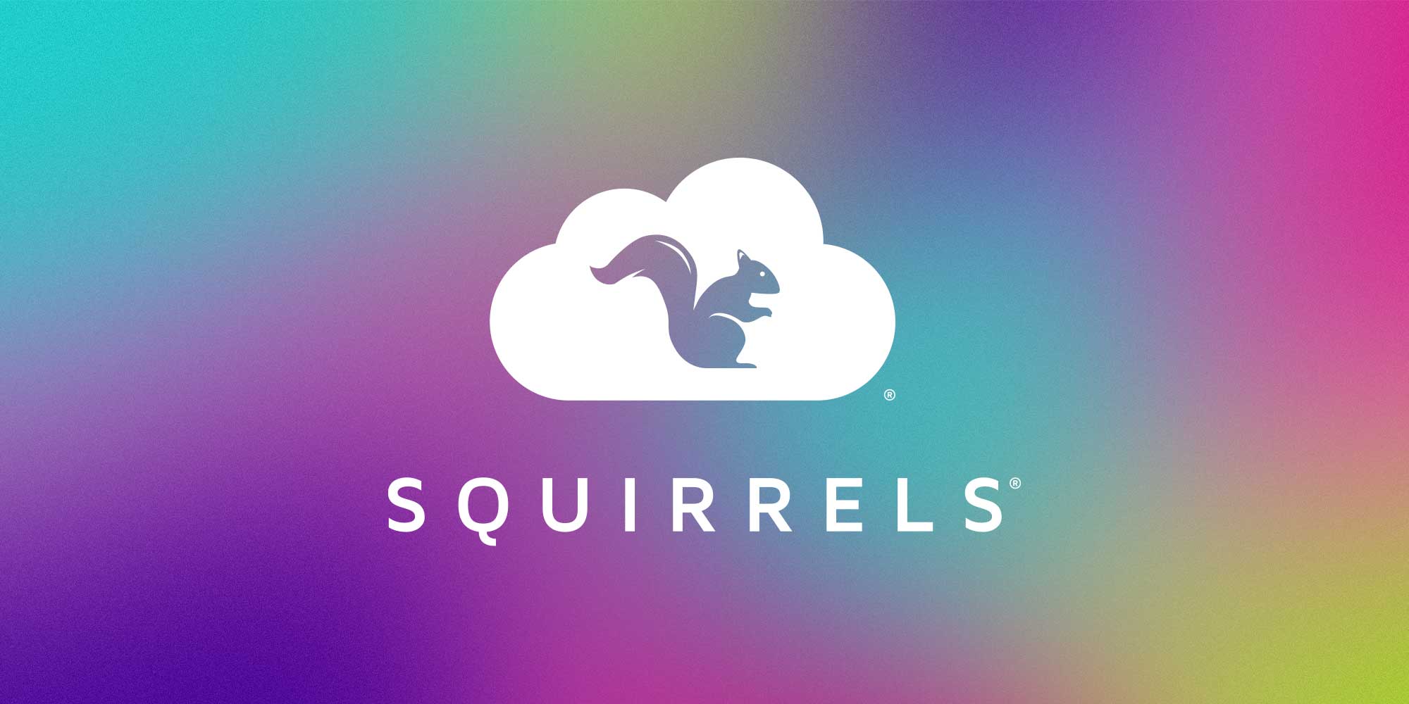 (c) Airsquirrels.com
