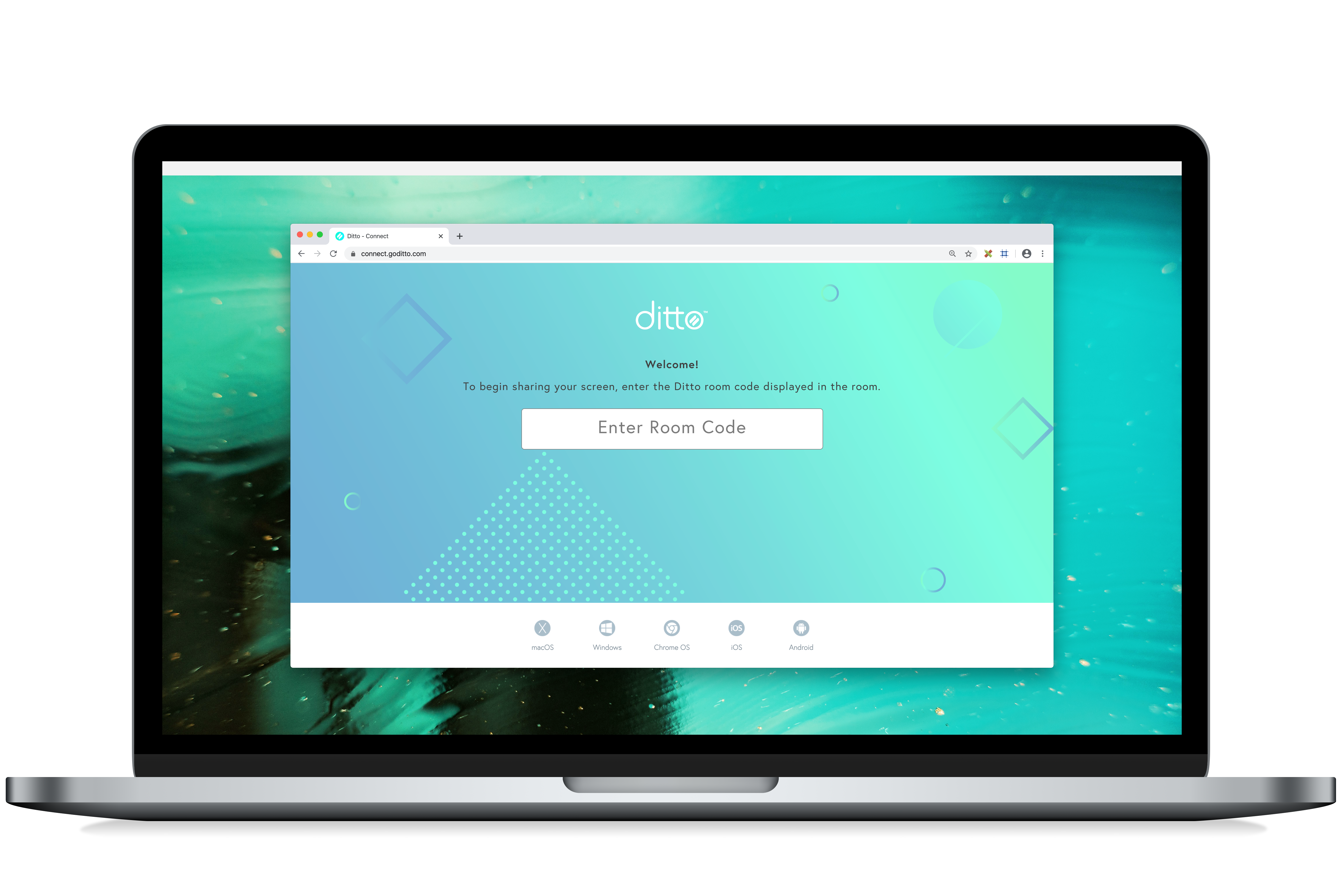 Ditto Connect screen mirroring